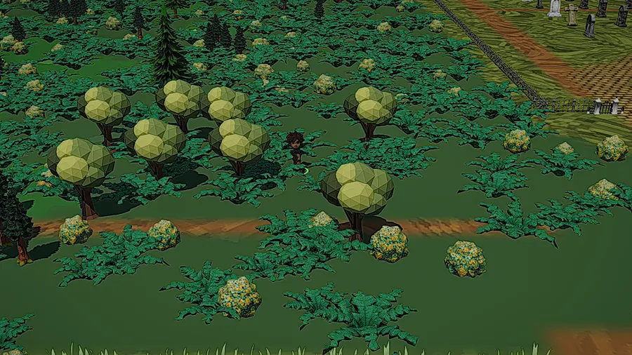 The Fernweald evergreen wood
